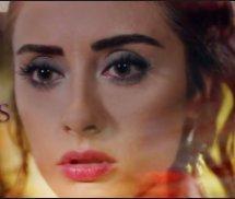 Nido De Viboras C20 FIN